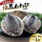 活黒あわび 養殖
