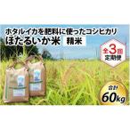 ほたるいか米 精米20kg
