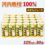 河内晩柑 ジュース 30本