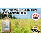 ほたるいか米 コシヒカリ 無洗米10kg