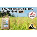 ほたるいか米 玄米10kg ×6回 計60kg
