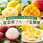 高知ブランドの旬のフルーツ定期便 文旦