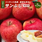 2026年 サンふじ 規格外 訳あり 約5kg