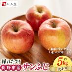 紅玉屋 サンふじ5kg