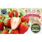 ふるさと納税 いちご キラッと輝くいちご きらぴ香 10箱 20パック 大粒 果物 イチゴ 苺 国産 ギフト 贈答品 お祝い プレゼント フルーツ くだも.. 静岡県静岡市