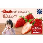 ふるさと納税 いちご 紅ほっぺ 8パック 果物 苺 国産 ギフト 贈答品 お祝い プレゼント フルーツ くだもの 【いちごいちごいちごいちごいちご】 静岡県静岡市