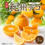 紀州デコ 約 5kg