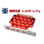 fu.... налог [12 месяц .. последовательный отправка ].. средний шар помидор [ красный ole ]1 коробка 1kg 5,000 иен префектура Shizuoka город Shizuoka 