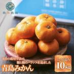 青木農園 青島みかん 10kg