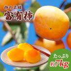 柿 富有柿 ふゆうがき 7kg