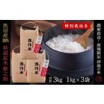 最高級魚沼産コシヒカリ 雪椿 3kg
