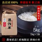 新之助の新しい風 5kg