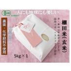 魚沼産コシヒカリ 苗場プリンセス プレミアム 5kg