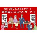 みまもり訪問サービス 12カ月