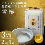 米 コシヒカリ 令和8年産 新米 定期便 3ヶ月