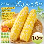 とうもろこし 10本