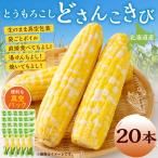 とうもろこし 20本
