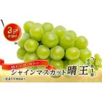 ぶどう 2026年 3回お届け シャイン マスカット