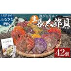 ヒオウギ貝42個セット ホタテの仲間 アウトドア