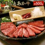 桜屋 GI認証 くまもとあか牛 焼肉用 500g
