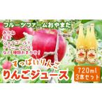 種類おまかせ すっぱい りんごジュース 720ml 3本 セット