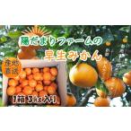 三ヶ日ミカエース 三ヶ日みかん 早生 Mサイズ