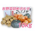 ふるさと納税 【2025年10月上旬より発送】北海道 富良野産 野菜 10kgセット じゃがいも & 玉ねぎ & かぼちゃ 3種 詰め合わせ (中山農園) 野.. 北海道富良野市