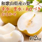 産の梨約2kg 品種おまかせ