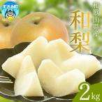産の梨 約2kg