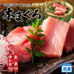 本マグロ 赤身 中トロ 計300g