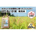 ほたるいか米 米定期便 コシヒカリ10kg