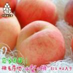 ふるさと納税 《2026年 先行予約》農家直送 桃名産地 山梨の桃 秀品 約2kg ふるさと納税【配送不可地域:離島・沖縄県】【1292061】 山梨県山梨市