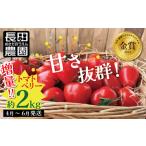 fu.... налог [2026 отчетный год предварительный заказ минут ] больше количество примерно 2kg!.. выдающийся!! помидор .. тоже еда .... помидор Berry 4 месяц ~6 месяц отправка овощи сомелье summit золотой . выигрыш длина.. префектура Аичи . юг город 