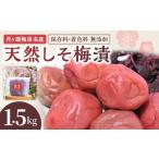 月ヶ瀬梅渓名産 天然しそ梅漬 1.5kg