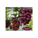 マスカットビオレ 1.3kg以上