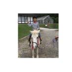 fu.... налог здоровье ...!.. эффект . есть! каждый верховая езда . можно наслаждаться! скидка лошадь бесплатный талон _S55 Okayama префектура .. блок 