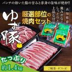 厳選部位の焼肉セット 約1.4kg
