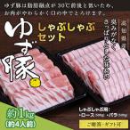 しゃぶしゃぶセット1kg 約4人前