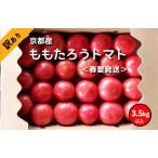 ふるさと納税 【先行予約】高糖度 ももたろうトマト(春夏発送) 訳あり 3.5キロ以上 不揃い 3.5キロ以上 不揃いトマト 農家直送トマト 京都府京丹後市