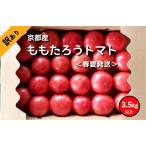 ふるさと納税 【高糖度】ももたろうトマト（春夏発送）　訳あり　3.5キロ以上　不揃い 京都府京丹後市