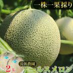 アールスメロン ネットメロン 2玉
