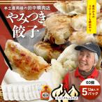 佐多の田中肉屋 ニンニク やみつき餃子 60個