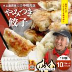 佐多の田中肉屋 ニンニク やみつき餃子 120個