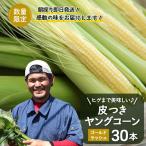 ヒゲまで美味しい 皮つき ヤングコーン 約30本