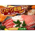 ふるさと納税 ひかり麦豚 しゃぶしゃぶ 食べ比べ + とんかつ肉 + ハンバーグ セット 鹿児島県南大隅町