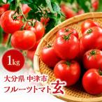 フルーツトマト 玄 1kg×1箱
