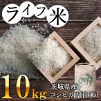 コシヒカリ 白米 10kg