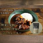 クラフトカレーブラザーズ×2袋セット