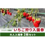 ふるさと納税 いちご狩り大人入園券2枚セット◇ ※離島への配送不可 茨城県土浦市