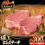 牛肉ステーキ ヒレ 300g